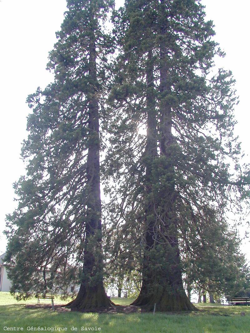 P4221630