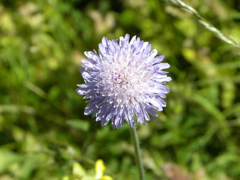 DSCN2131