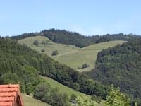 DSCN2129